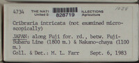 Image Associated With the Occurence